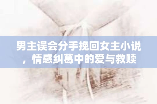 男主误会分手挽回女主小说，情感纠葛中的爱与救赎