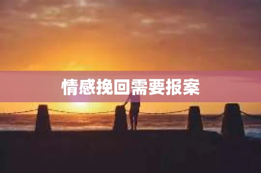 情感挽回需要报案