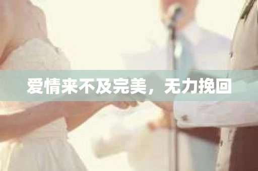 爱情来不及完美，无力挽回