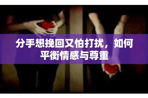 分手想挽回又怕打扰，如何平衡情感与尊重