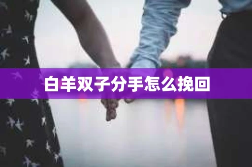 白羊双子分手怎么挽回
