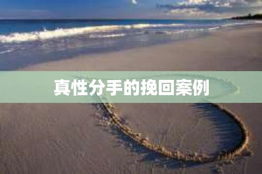 真性分手的挽回案例