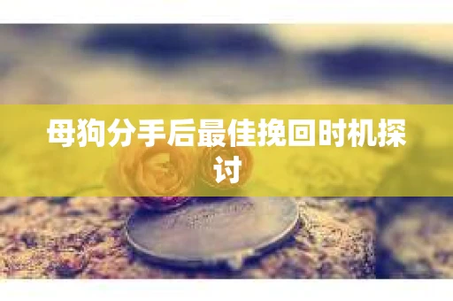 母狗分手后最佳挽回时机探讨