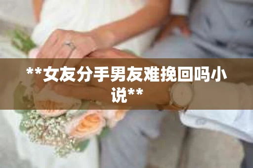 **女友分手男友难挽回吗小说**