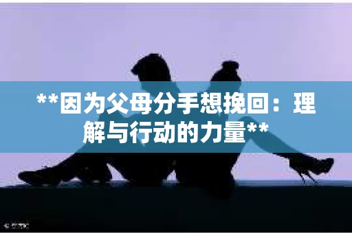 **因为父母分手想挽回：理解与行动的力量**
