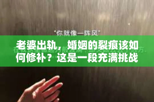 老婆出轨，婚姻的裂痕该如何修补？这是一段充满挑战与挣扎的故事，也是一次关于爱情、信任与自我救赎的深刻探讨。在这个故事里，我将分享一些关于如何挽回出轨妻子感情的经验和策略，希望能为那些正经历相似困境的人们带来一丝希望。