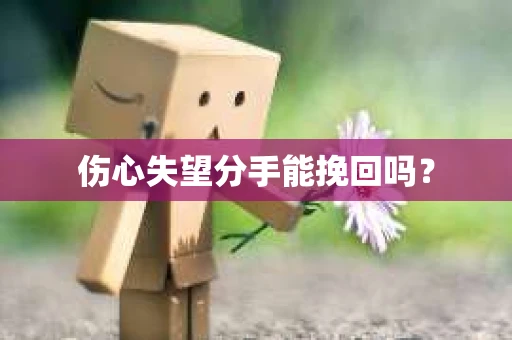 伤心失望分手能挽回吗？