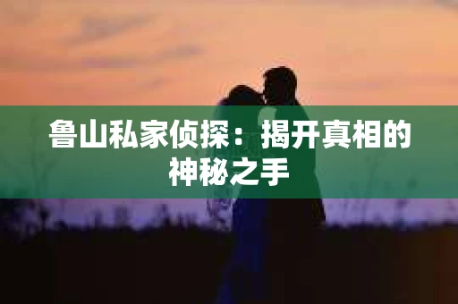 鲁山私家侦探：揭开真相的神秘之手