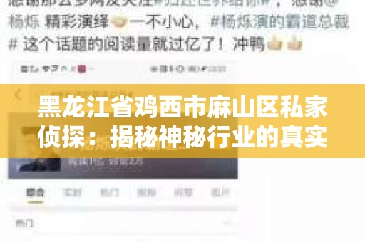 黑龙江省鸡西市麻山区私家侦探：揭秘神秘行业的真实面貌