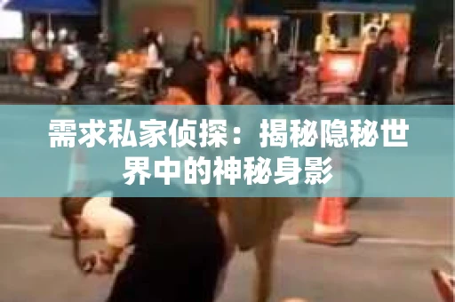 需求私家侦探：揭秘隐秘世界中的神秘身影