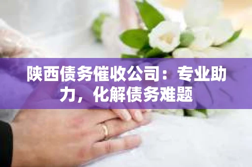 陕西债务催收公司：专业助力，化解债务难题