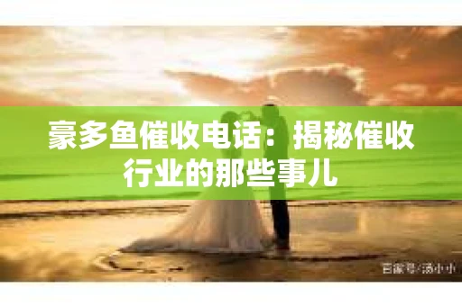 豪多鱼催收电话：揭秘催收行业的那些事儿