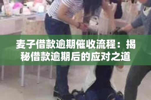 麦子借款逾期催收流程：揭秘借款逾期后的应对之道