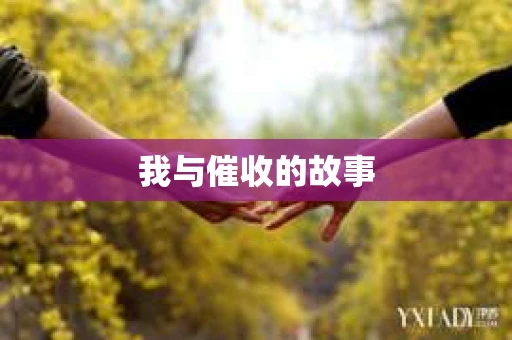 我与催收的故事