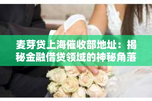 麦芽贷上海催收部地址：揭秘金融借贷领域的神秘角落