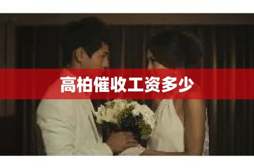 高柏催收工资多少
