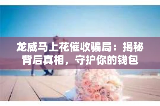龙威马上花催收骗局：揭秘背后真相，守护你的钱包