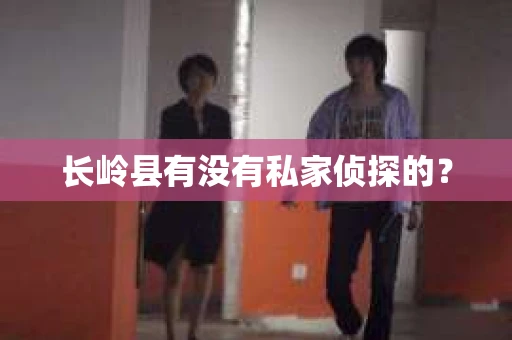 长岭县有没有私家侦探的？