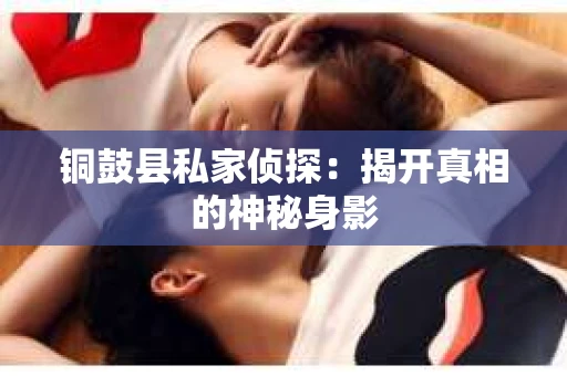 铜鼓县私家侦探：揭开真相的神秘身影