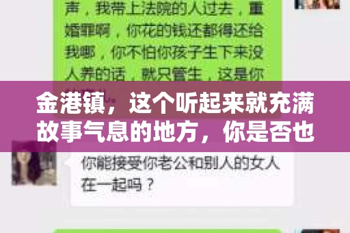 金港镇，这个听起来就充满故事气息的地方，你是否也曾好奇过，这里是否有私家侦探的身影呢？今天，我就来和大家聊聊这个话题。