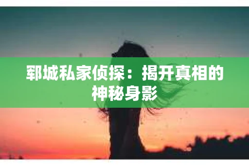 郓城私家侦探：揭开真相的神秘身影