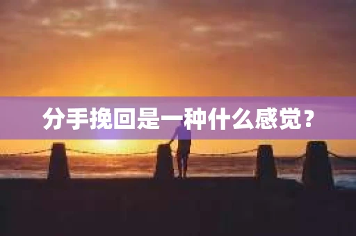 分手挽回是一种什么感觉？
