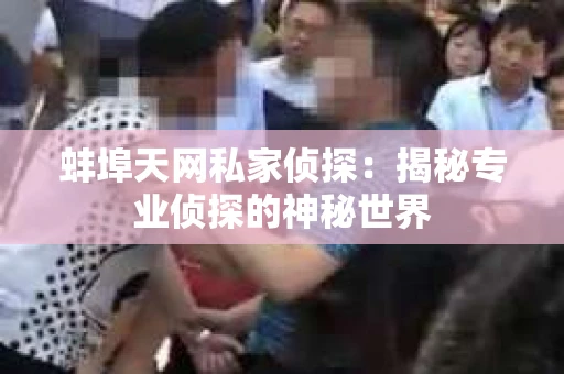 蚌埠天网私家侦探：揭秘专业侦探的神秘世界