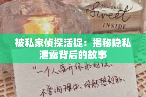 被私家侦探活捉：揭秘隐私泄露背后的故事
