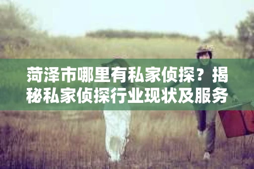 菏泽市哪里有私家侦探？揭秘私家侦探行业现状及服务选择