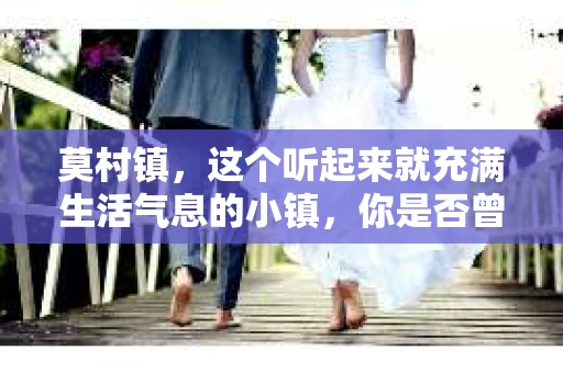 莫村镇，这个听起来就充满生活气息的小镇，你是否曾好奇过这里是否有私家侦探公司呢？今天，我就来给大家揭开这个谜底。