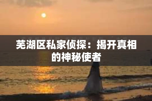 芜湖区私家侦探：揭开真相的神秘使者