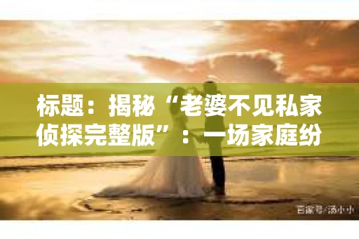 标题：揭秘“老婆不见私家侦探完整版”：一场家庭纷争的真相探寻